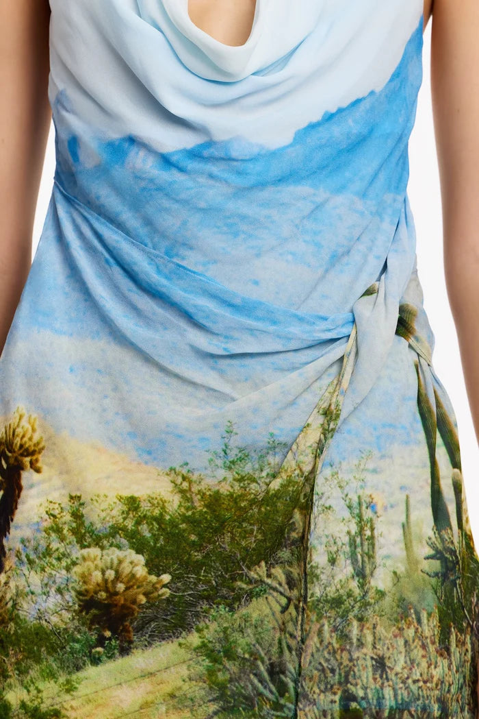 Elysian Collective Significant Other Kyra Mini Dress Arizona Print