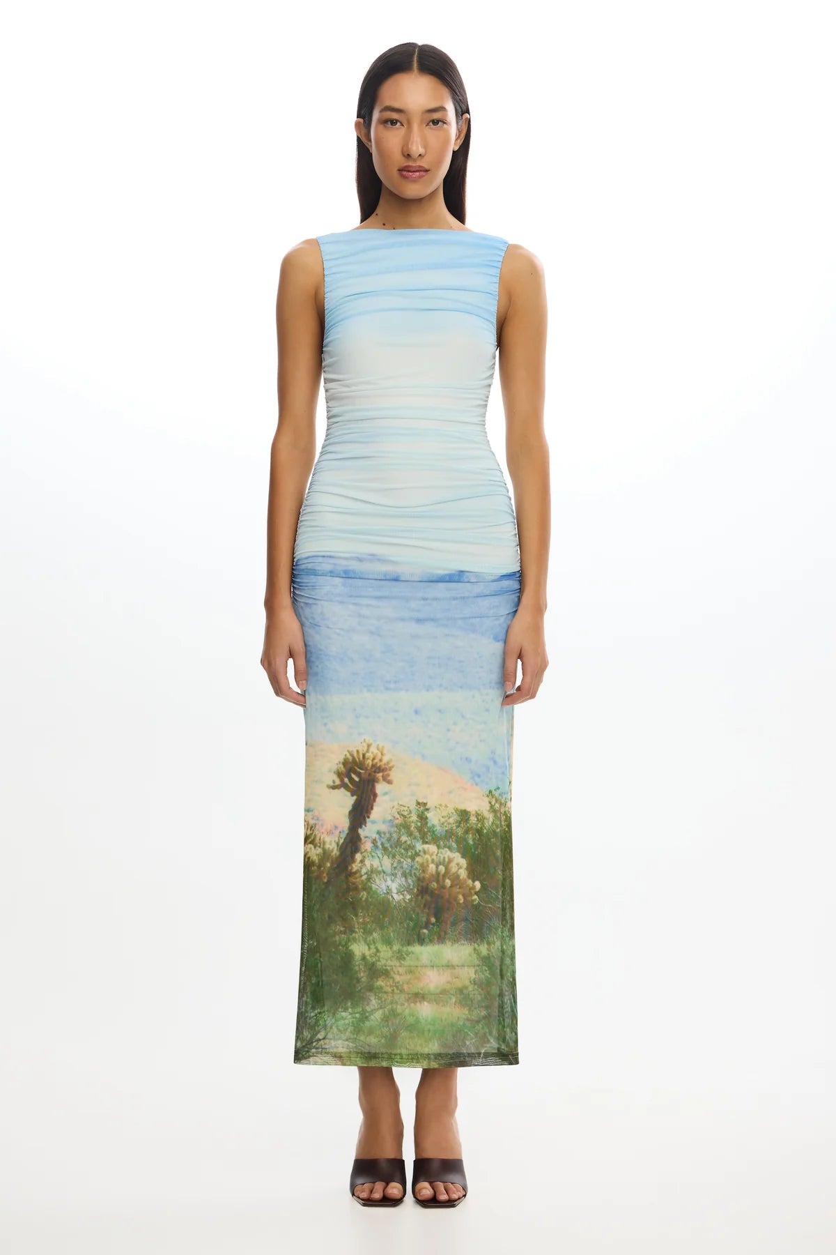 Elysian Collective Significant Other Saria Midi Dress Arizona Print
