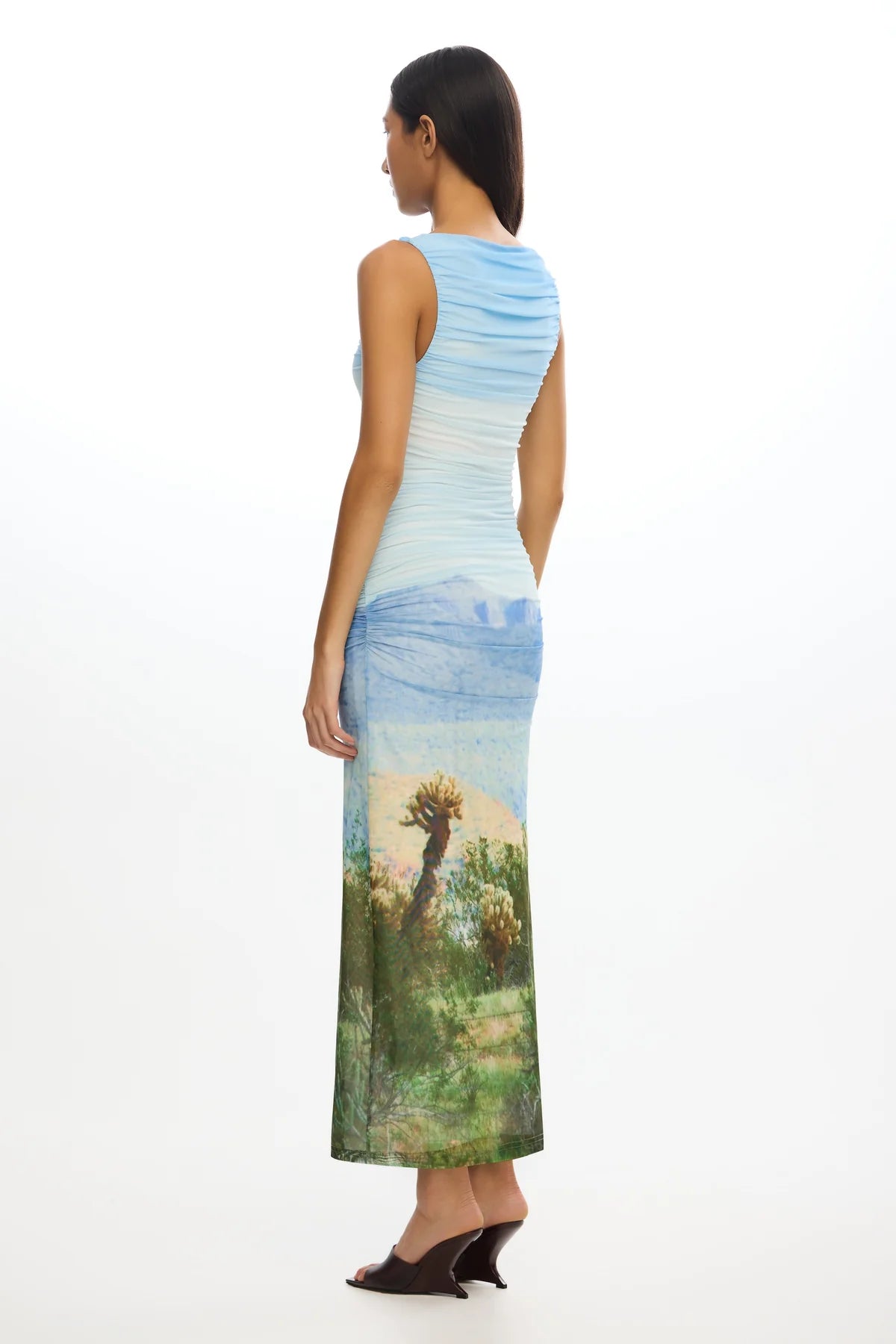Elysian Collective Significant Other Saria Midi Dress Arizona Print