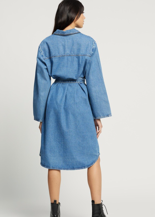 Elysian Collective Nobody Denim Day Shirt Dress
