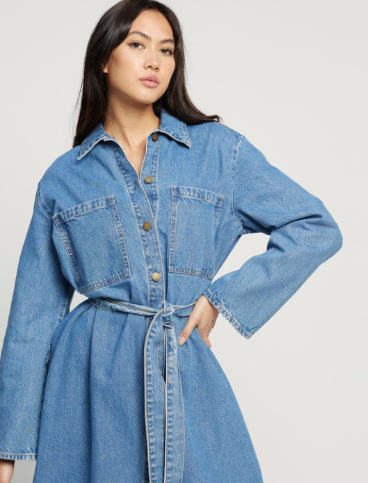 Elysian Collective Nobody Denim Day Shirt Dress