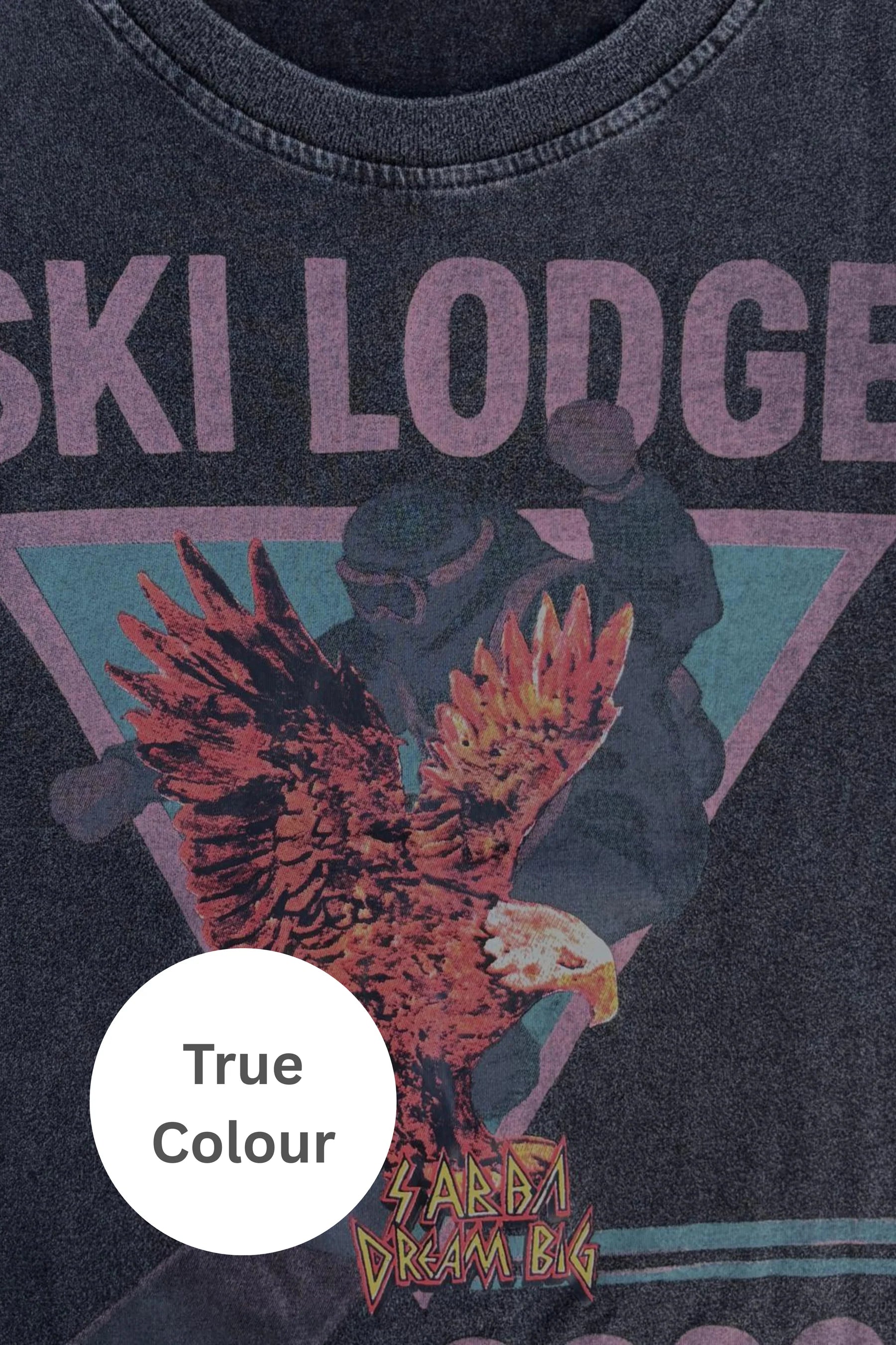 Elysian Collective Sabbi The Blizzard Ski Lift Tee