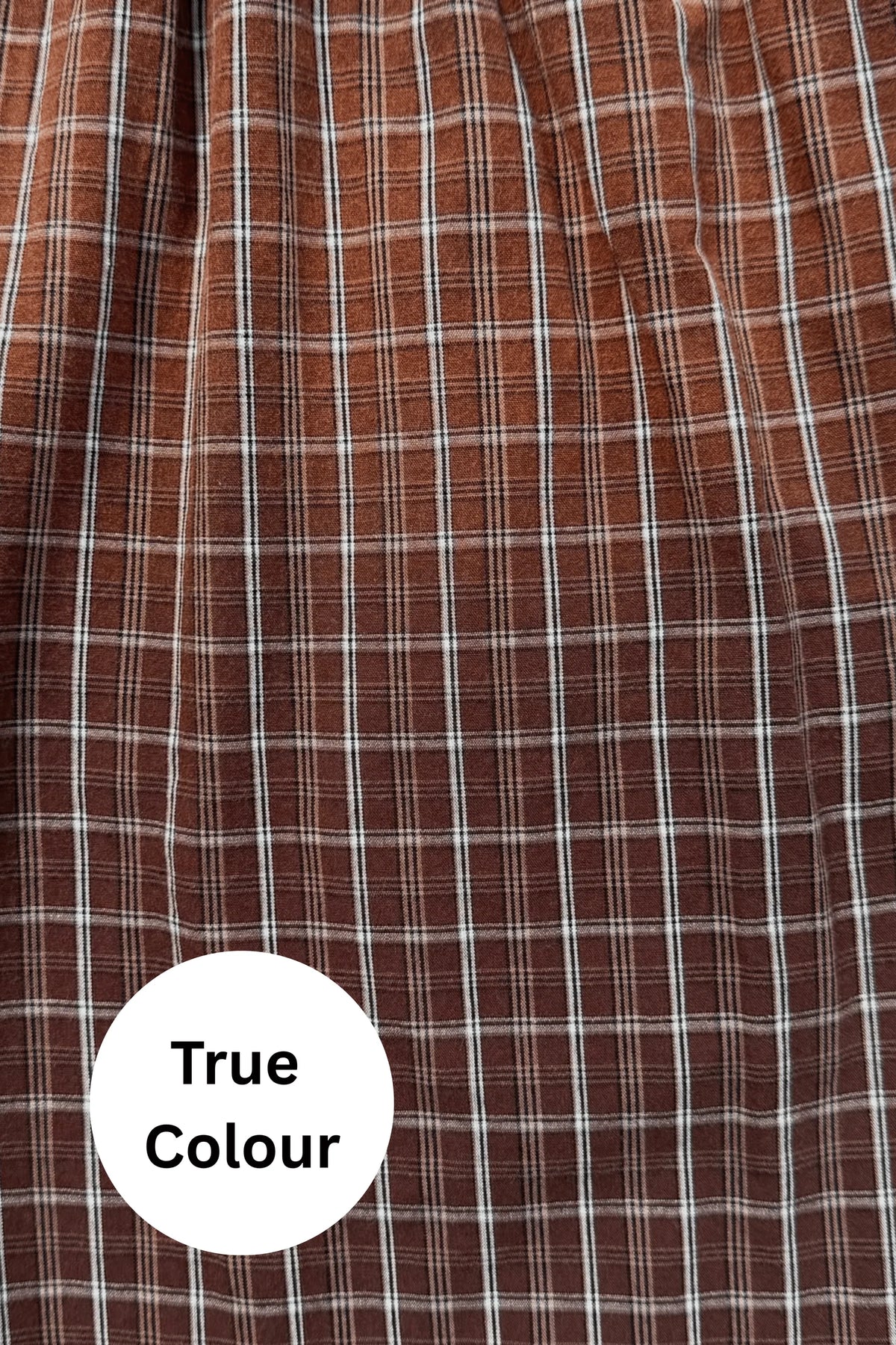 Elysian Collective Sabbi The Tokyo Plaid Jort