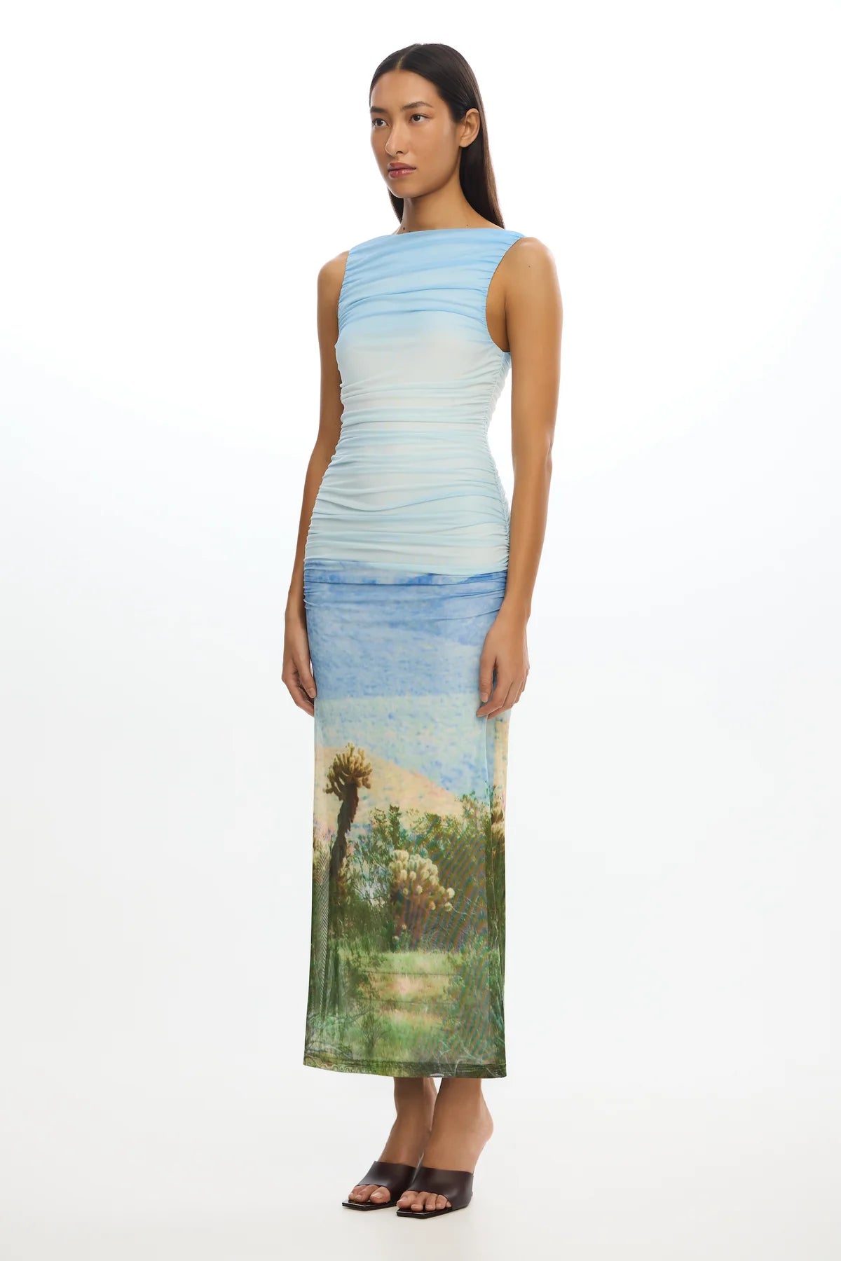Elysian Collective Significant Other Saria Midi Dress Arizona Print