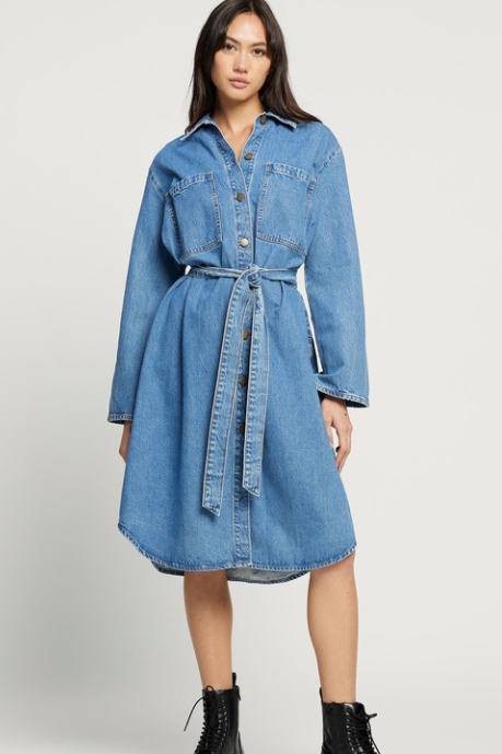 Elysian Collective Nobody Denim Day Shirt Dress