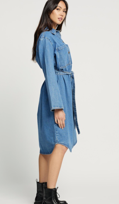 Elysian Collective Nobody Denim Day Shirt Dress