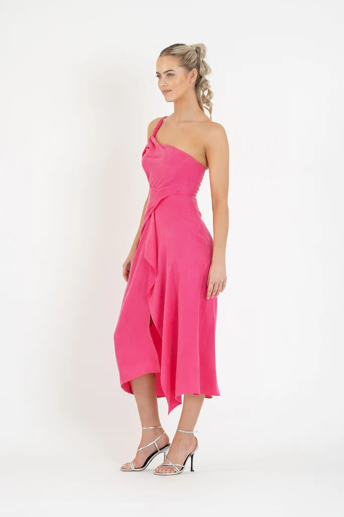 one fell swoop pink dress Gaia maxi dress in punch
