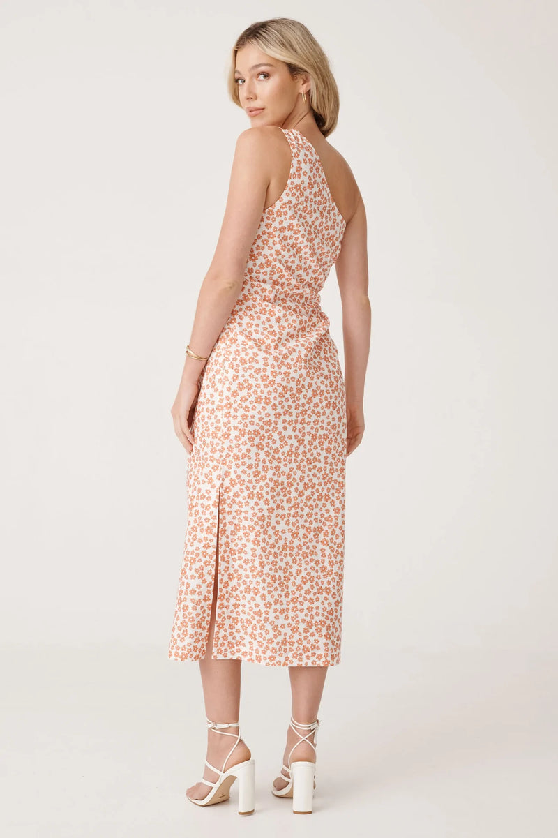 Elysian Collective Raef The Label Arya Midi Dress Summer Floral