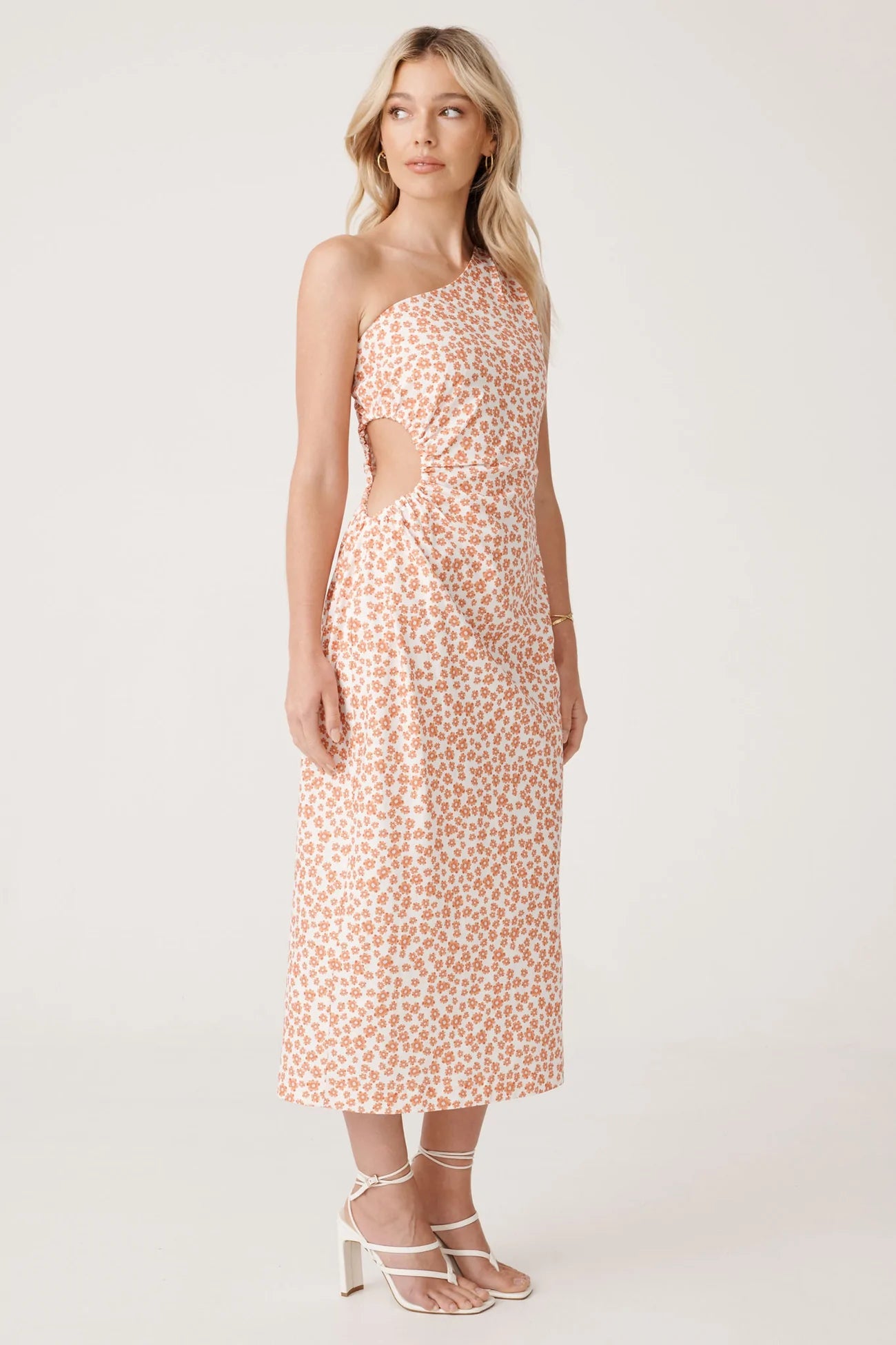 Elysian Collective Raef The Label Arya Midi Dress Summer Floral