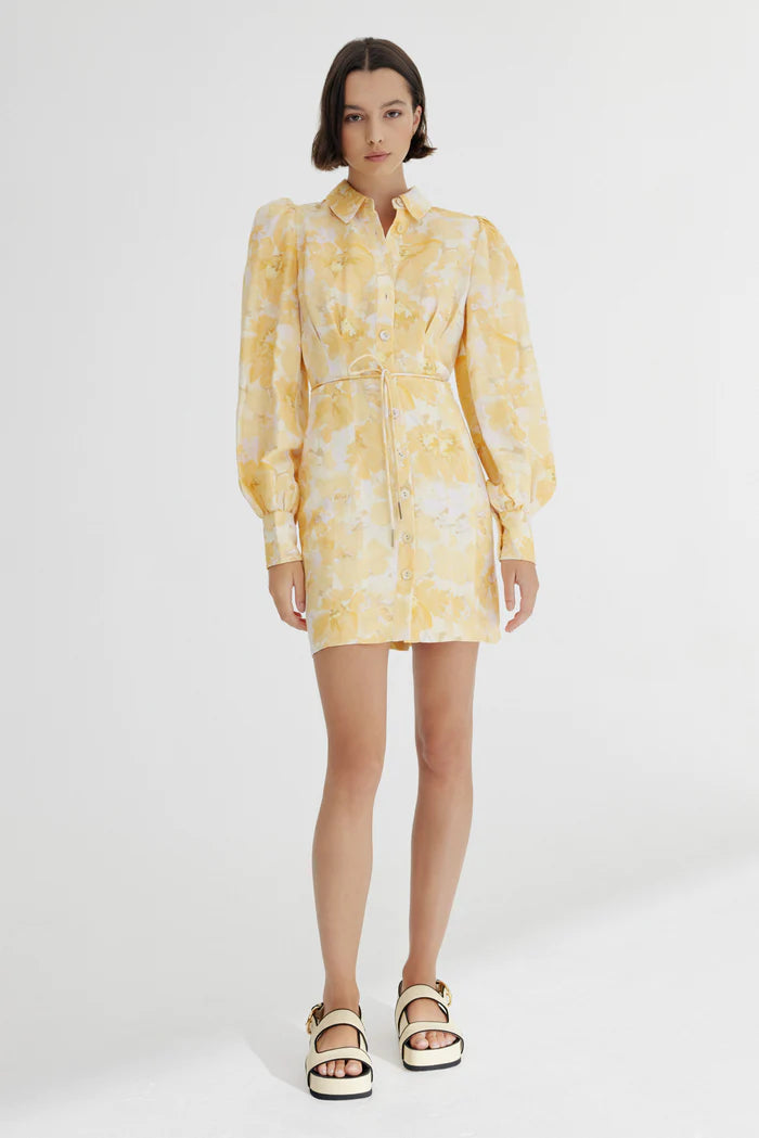 Elysian Collective Significant Other Matilda Mini Dress Gold Poppy Floral